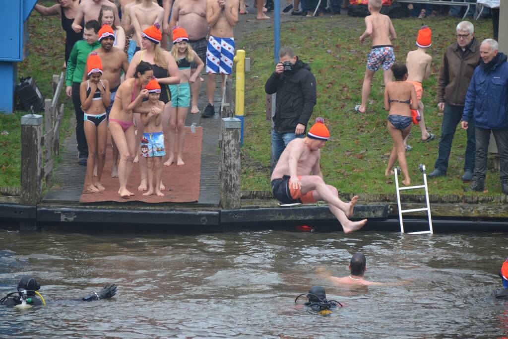 Veel toeschouwers bij nieuwjaarsduik