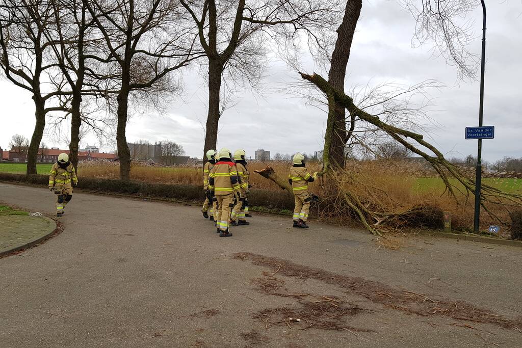 Grote takken vallen op wegdek door storm