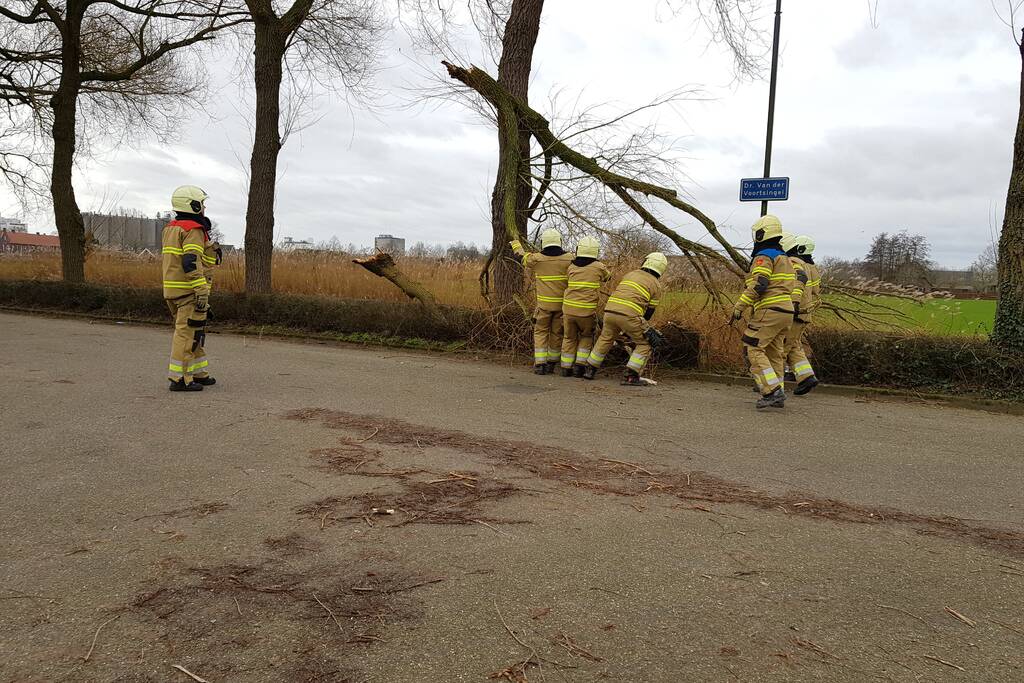 Grote takken vallen op wegdek door storm