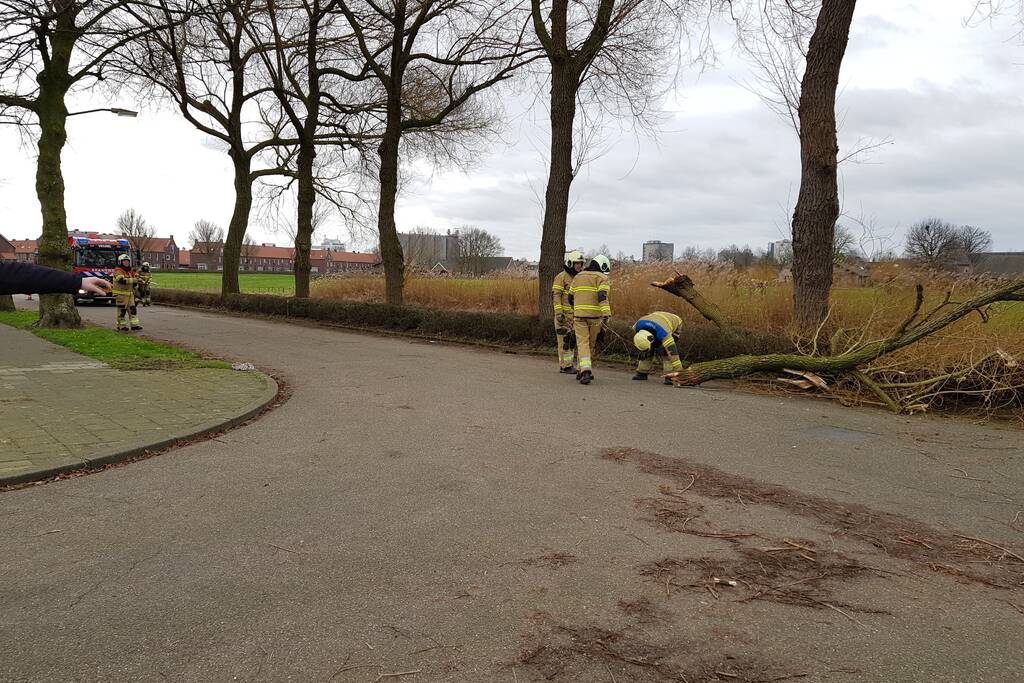 Grote takken vallen op wegdek door storm