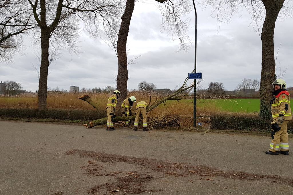 Grote takken vallen op wegdek door storm