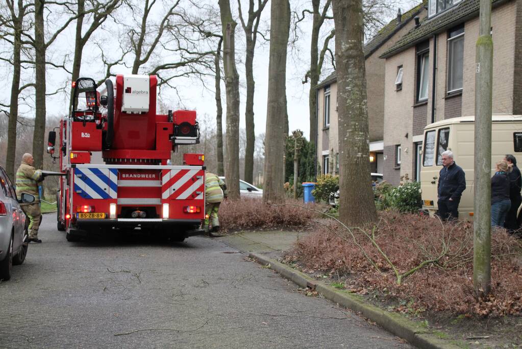 Loshangende takken zorgen voor gevaarlijke situaties