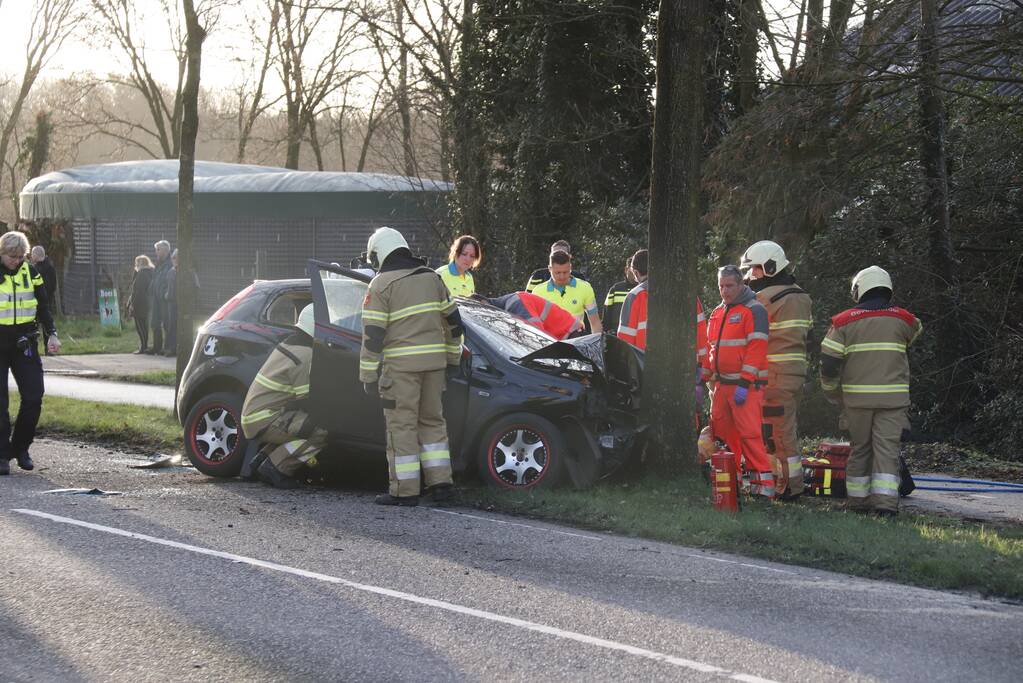 Twee gewonden na frontale botsing tegen boom