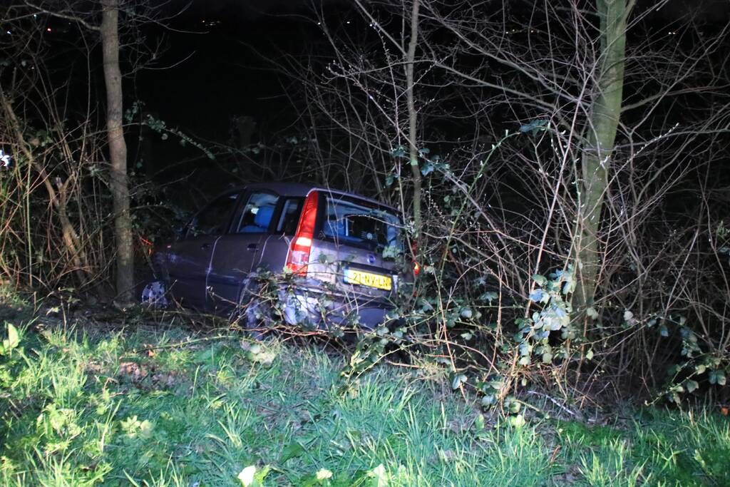 Automobilist vliegt uit de bocht en belandt in de bosjes