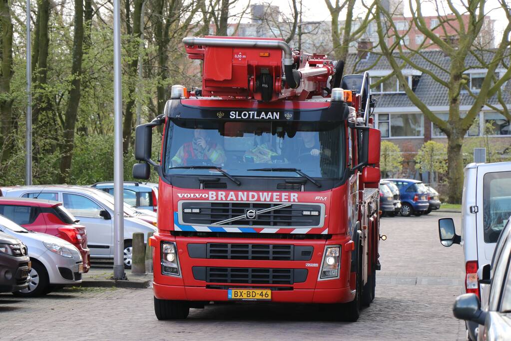 Grote tak dreigt op geparkeerde auto's te vallen