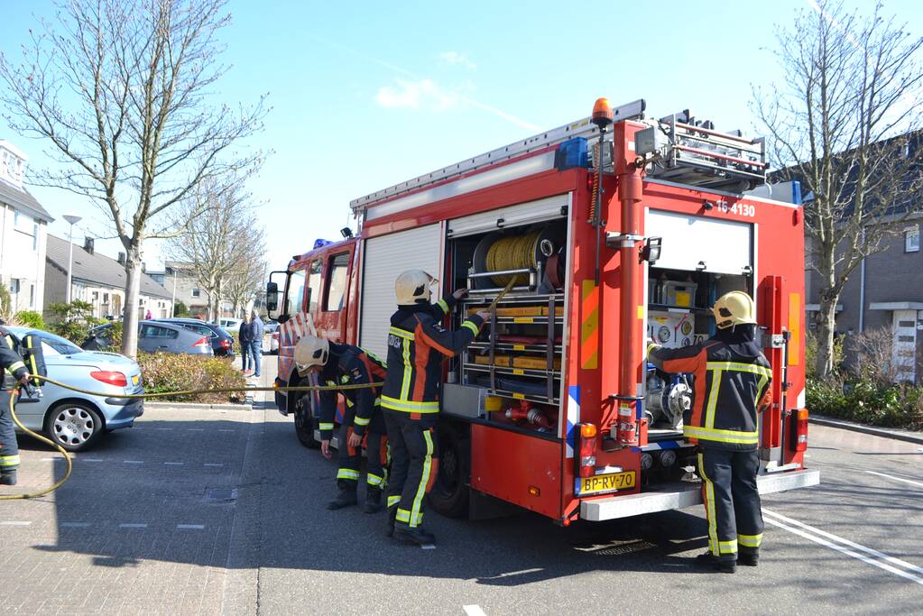 Buurtbewoners blussen brand in dennenboom