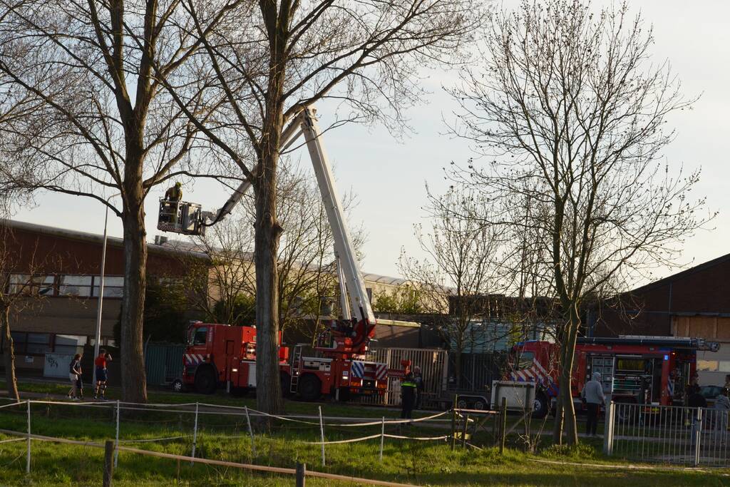 Brandje in opslagloods