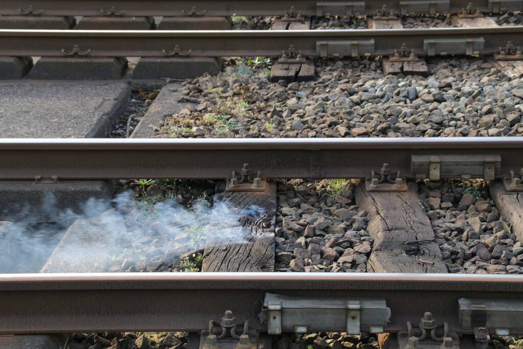 Treinverkeer tijdelijk gestremd door brandende spoorbiels