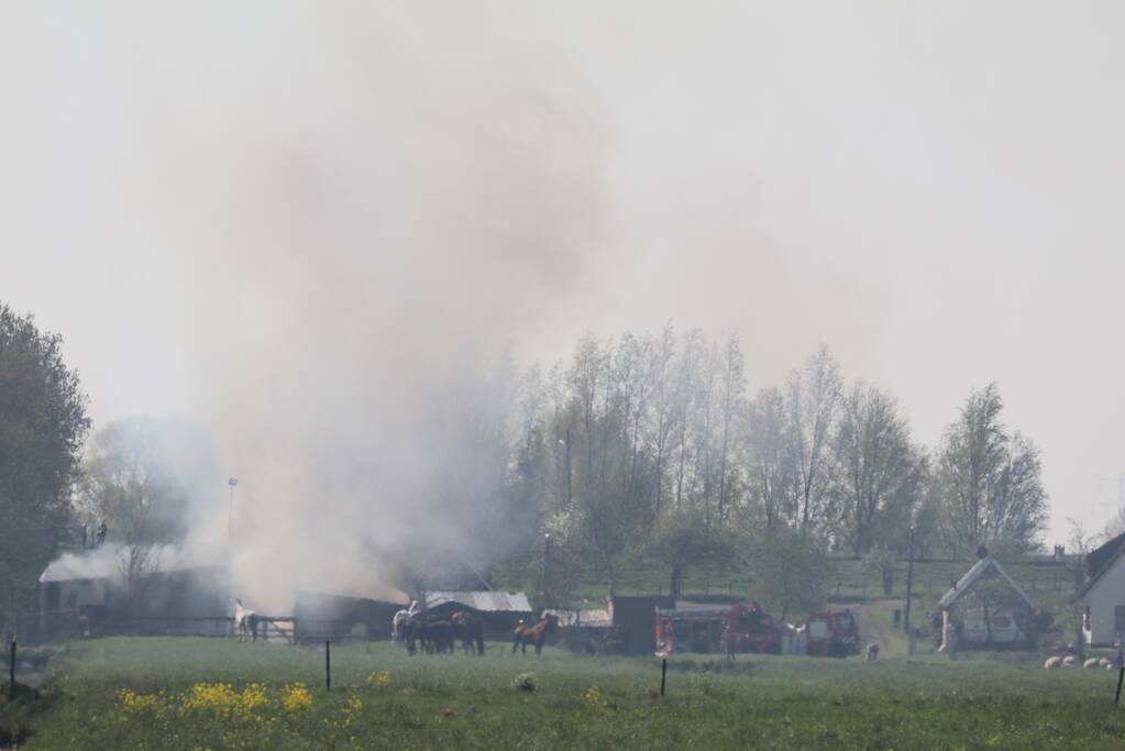 Grote brand in paardenstal