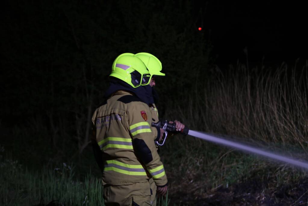 Rietkraag langs het spoor in brand