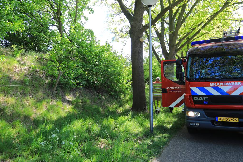 Struiken in brand op geluidswal