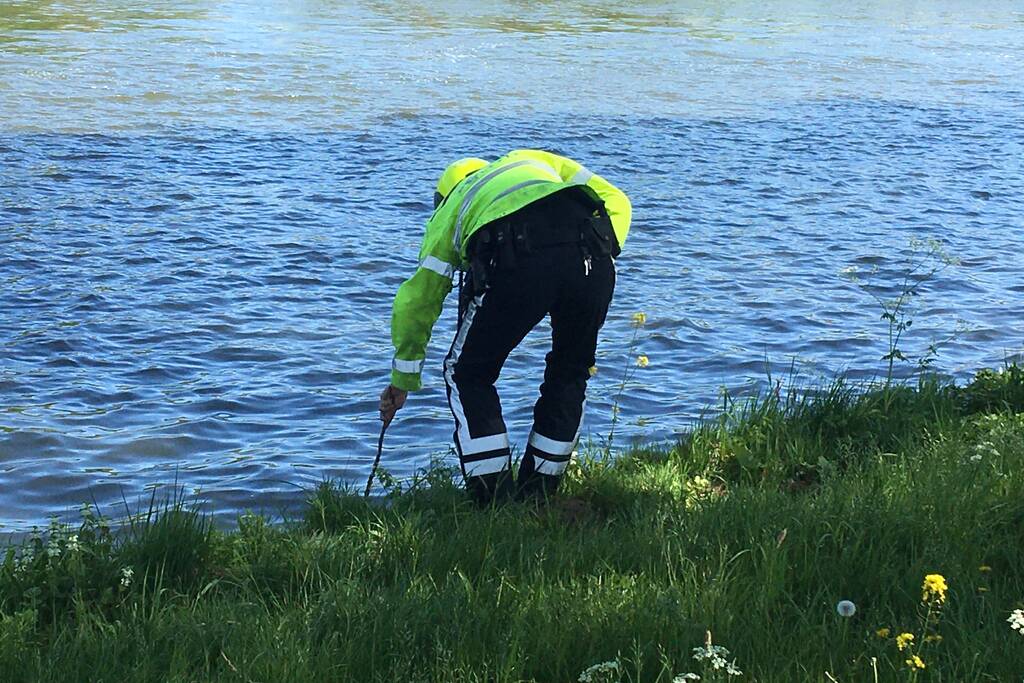 Omstanders treffen dode ree aan in het water