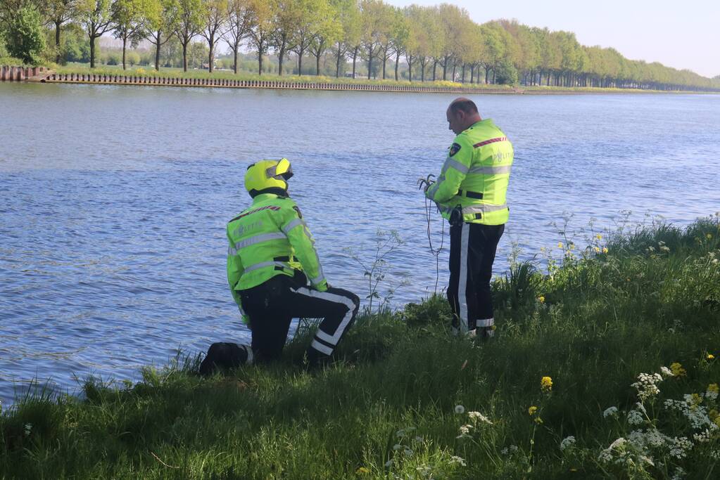 Omstanders treffen dode ree aan in het water