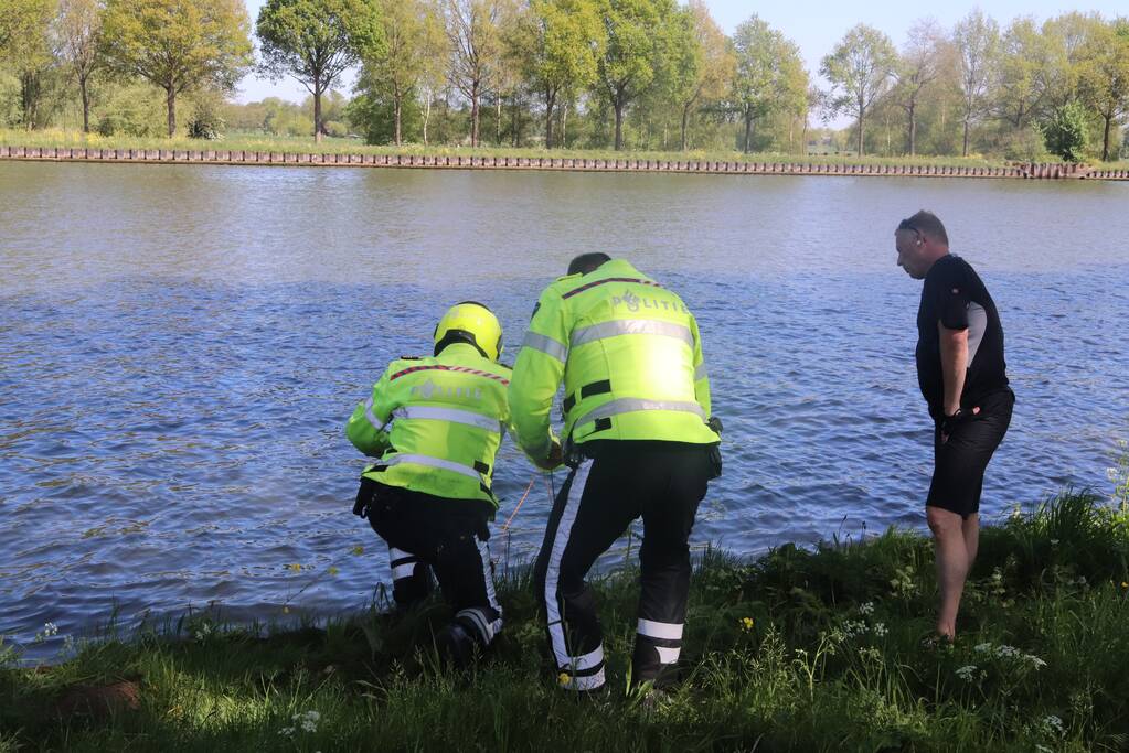 Omstanders treffen dode ree aan in het water