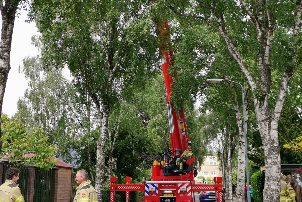 Loshangende takken door brandweer verwijderd