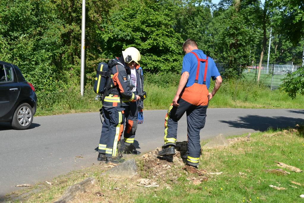 Brandende boomstronk snel geblust door omstanders