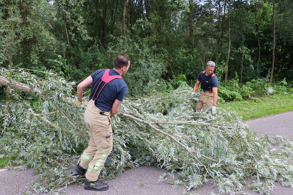 Omgevallen boom versperd de weg