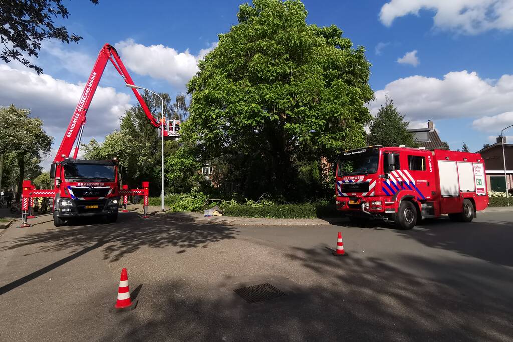 Brandweer verwijdert gevaarlijk hangende takken