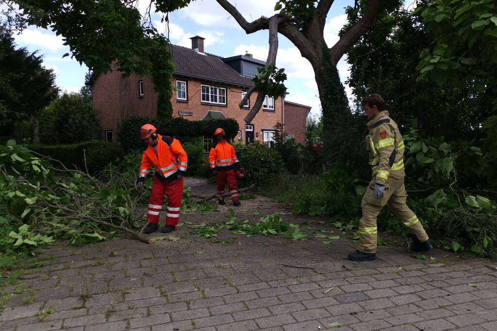 Brandweer verwijdert gevaarlijk hangende takken