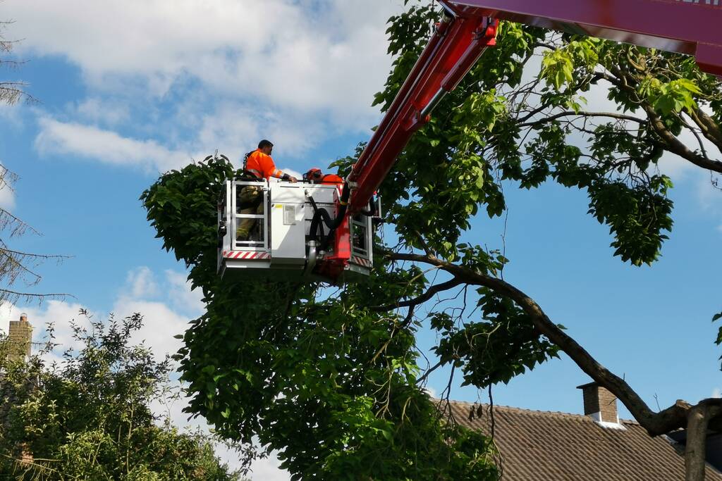 Brandweer verwijdert gevaarlijk hangende takken