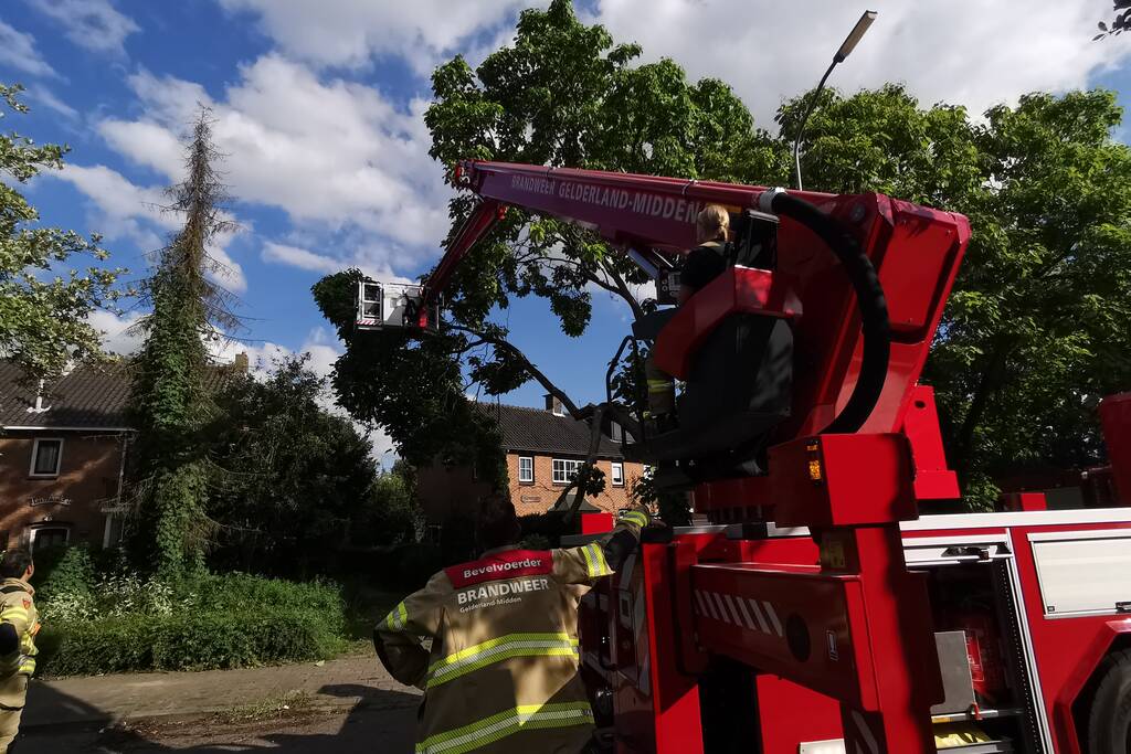 Brandweer verwijdert gevaarlijk hangende takken