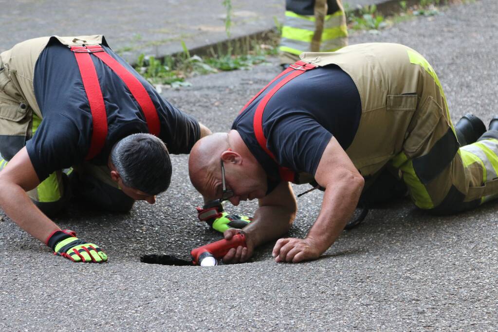 Onderzoek naar sinkhole in wegdek