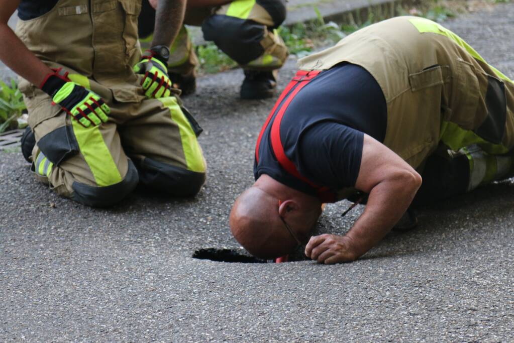 Onderzoek naar sinkhole in wegdek