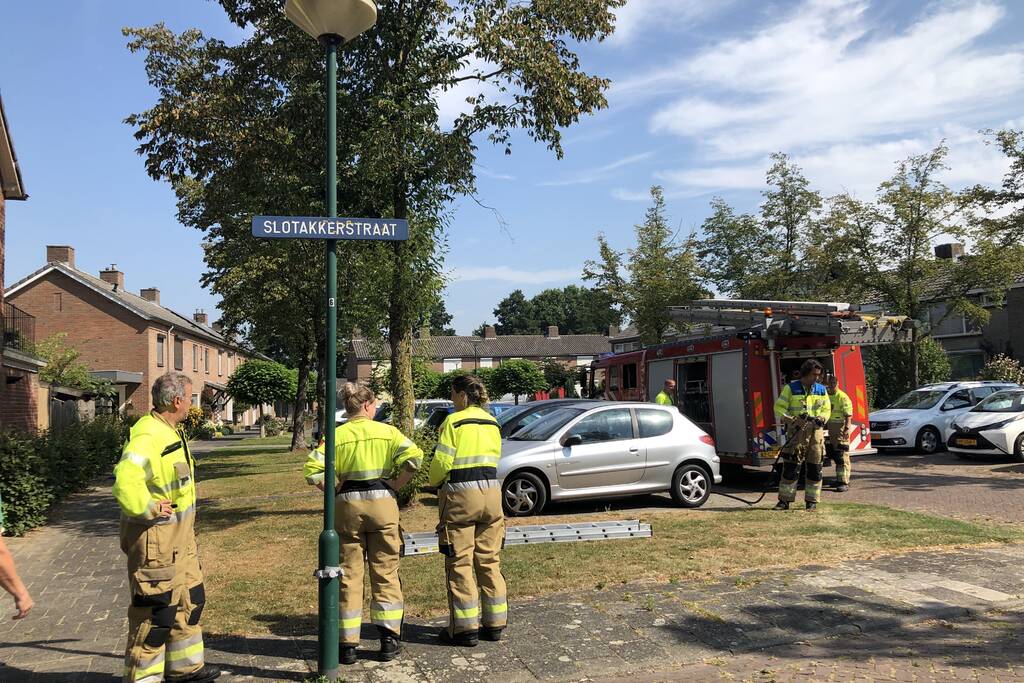 Kat gewond nadat deze uit boom werd gespoten