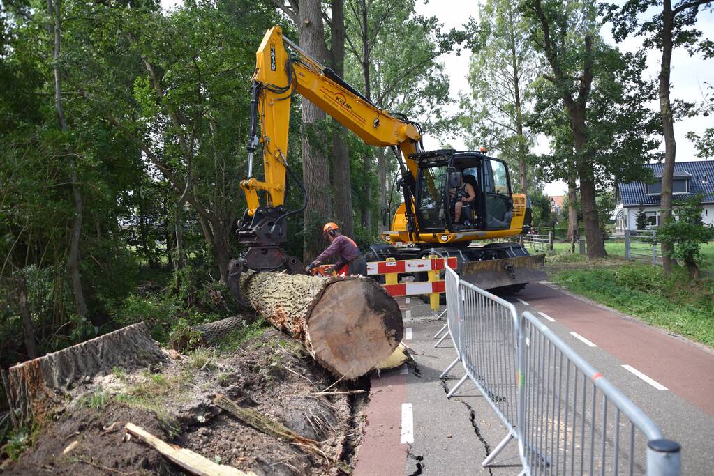 Gemente ruimt 15 bomen op na storm