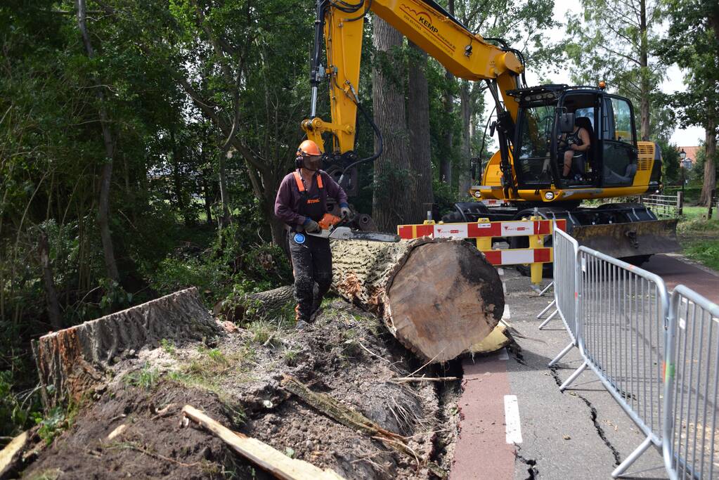 Gemente ruimt 15 bomen op na storm