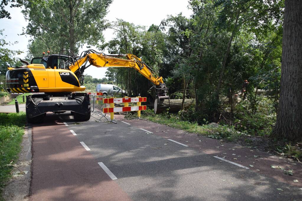 Gemente ruimt 15 bomen op na storm