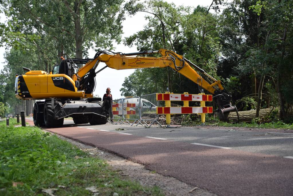 Gemente ruimt 15 bomen op na storm