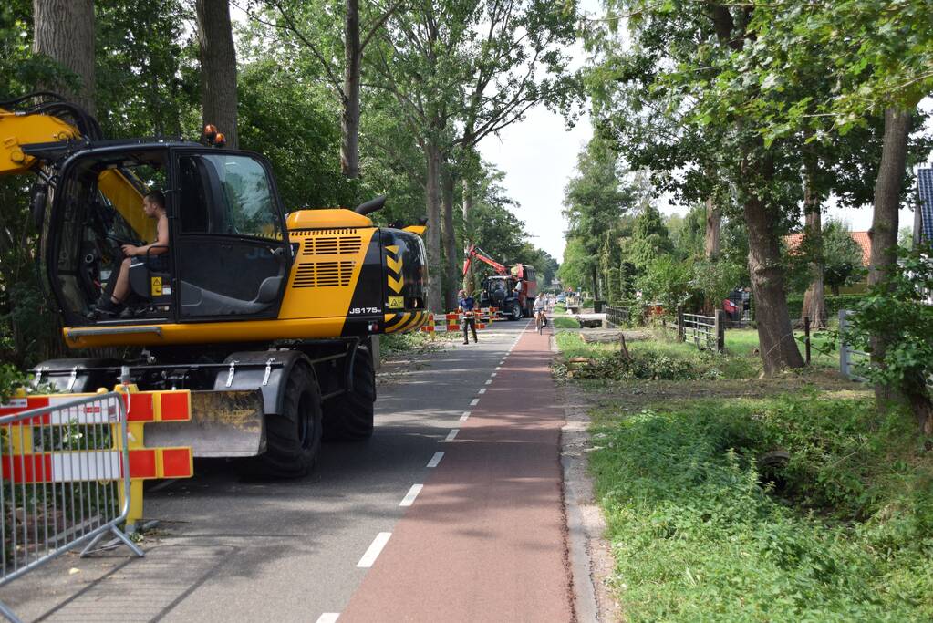 Gemente ruimt 15 bomen op na storm