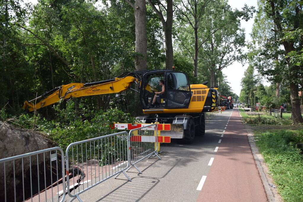 Gemente ruimt 15 bomen op na storm