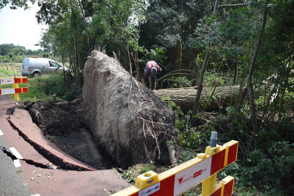 Gemente ruimt 15 bomen op na storm