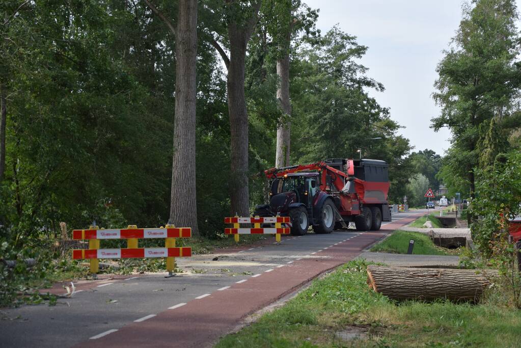 Gemente ruimt 15 bomen op na storm