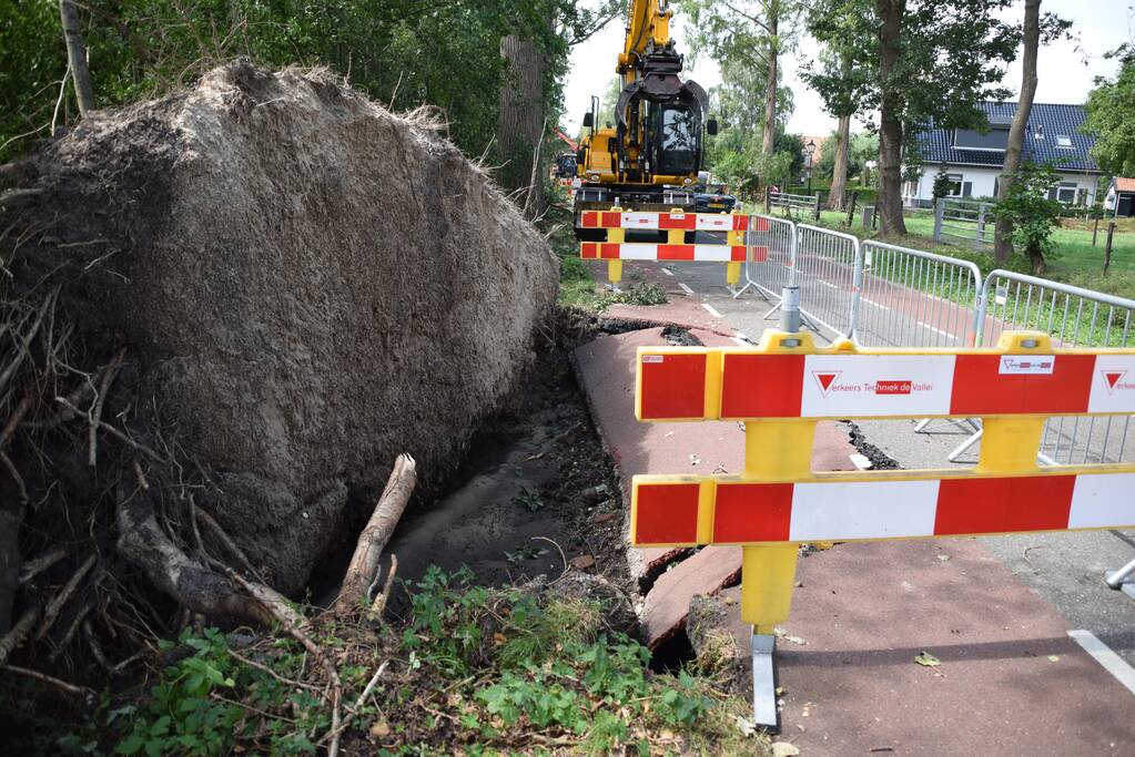 Gemente ruimt 15 bomen op na storm