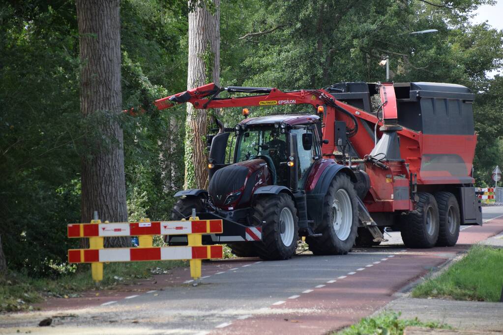 Gemente ruimt 15 bomen op na storm