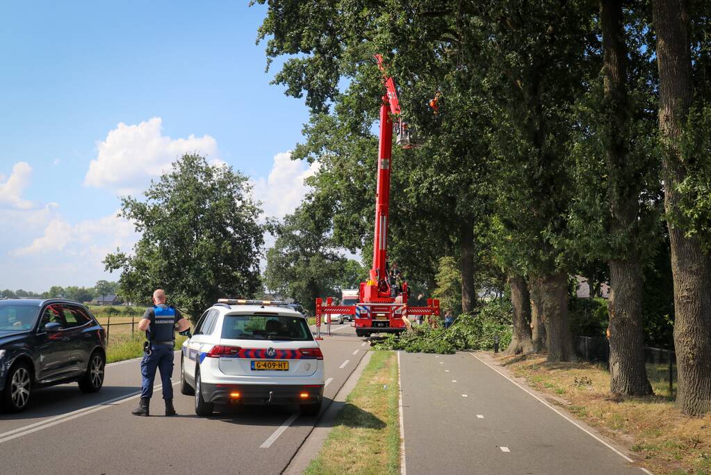 Loshangende takken zorgen voor gevaarlijke situatie