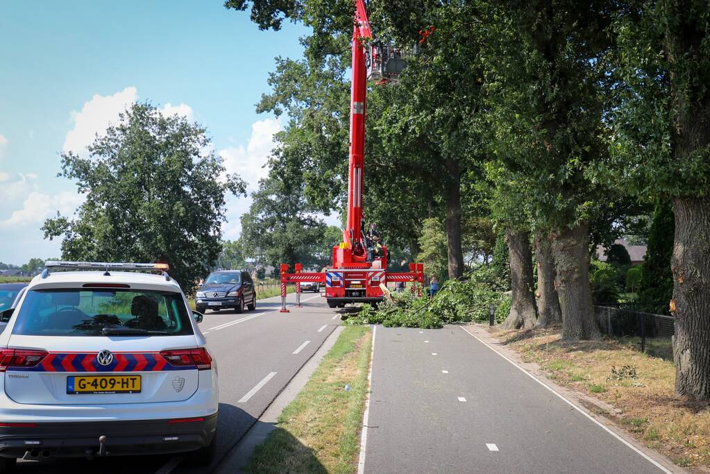 Loshangende takken zorgen voor gevaarlijke situatie