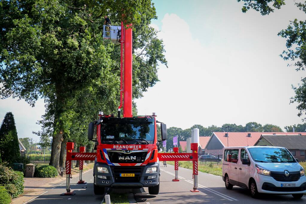 Loshangende takken zorgen voor gevaarlijke situatie