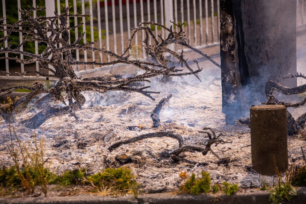 Onkruidbrander zet perk in de brand