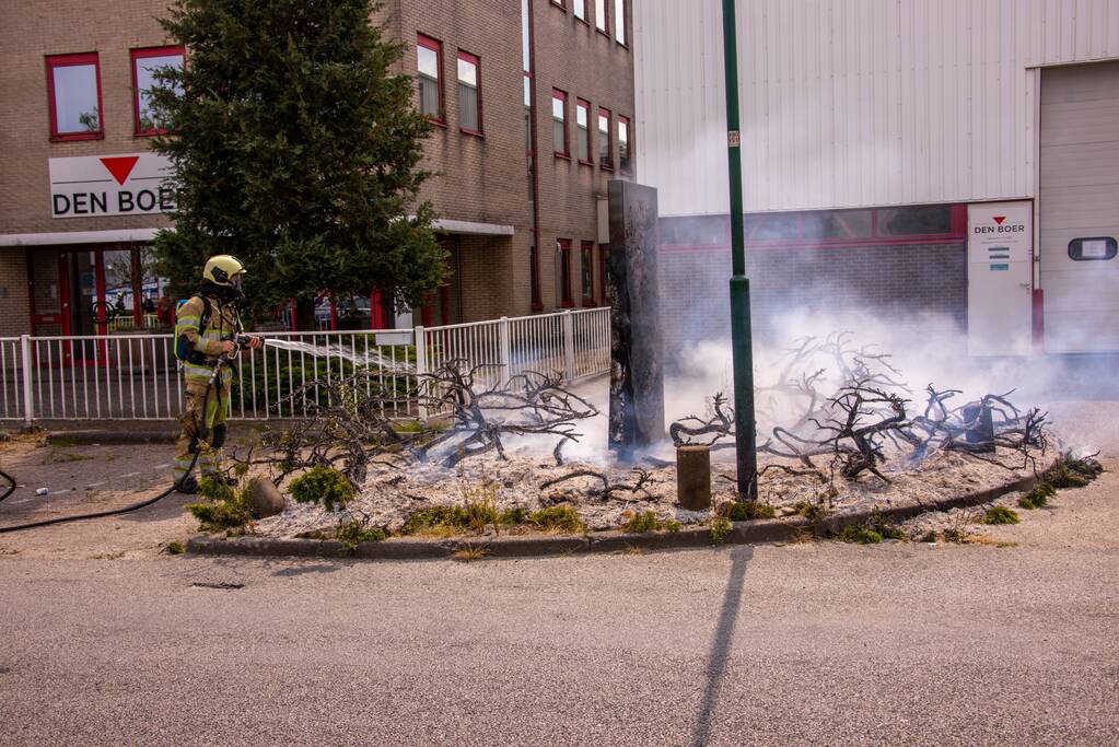 Onkruidbrander zet perk in de brand