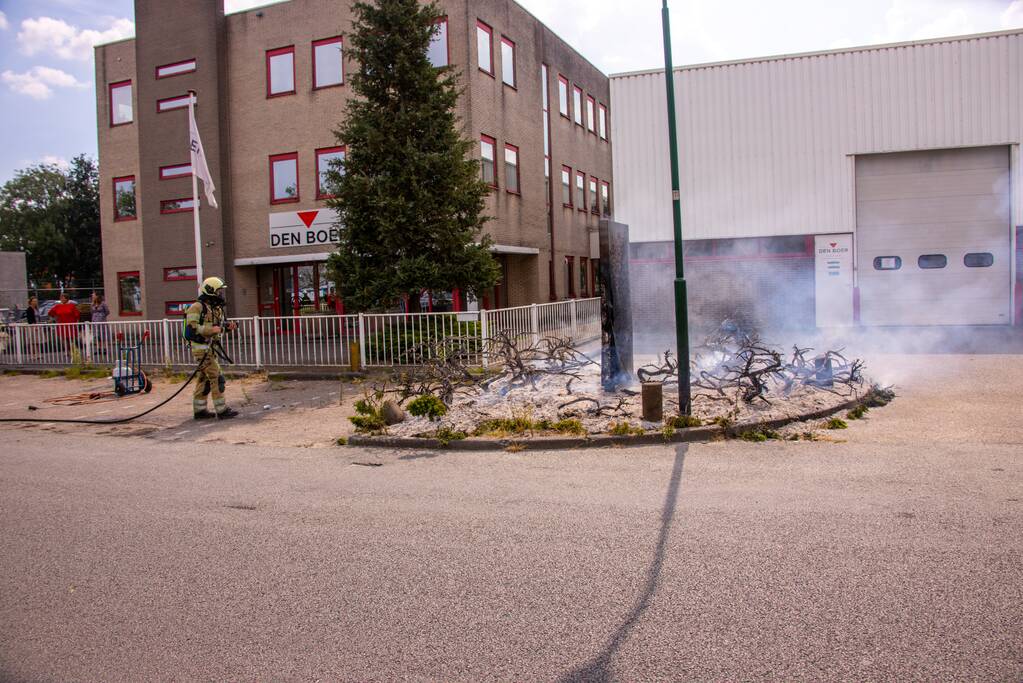 Onkruidbrander zet perk in de brand