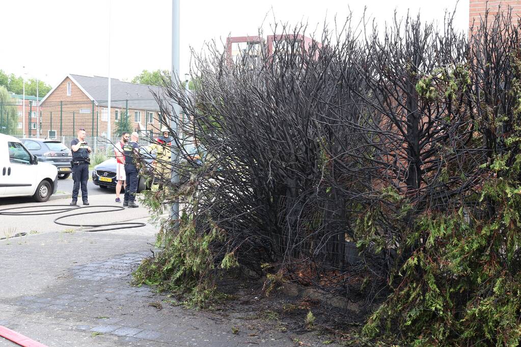 Fikse brand in heg door weg branden wespennest