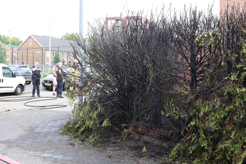 Fikse brand in heg door weg branden wespennest