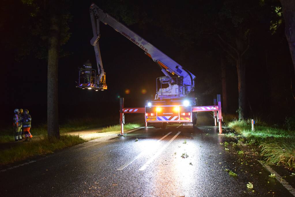 Gevaarlijk hangende tak zorgt voor gevaarlijke situatie