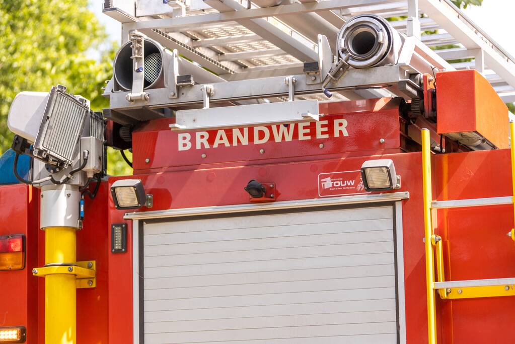 Brandweer redt paard uit de sloot