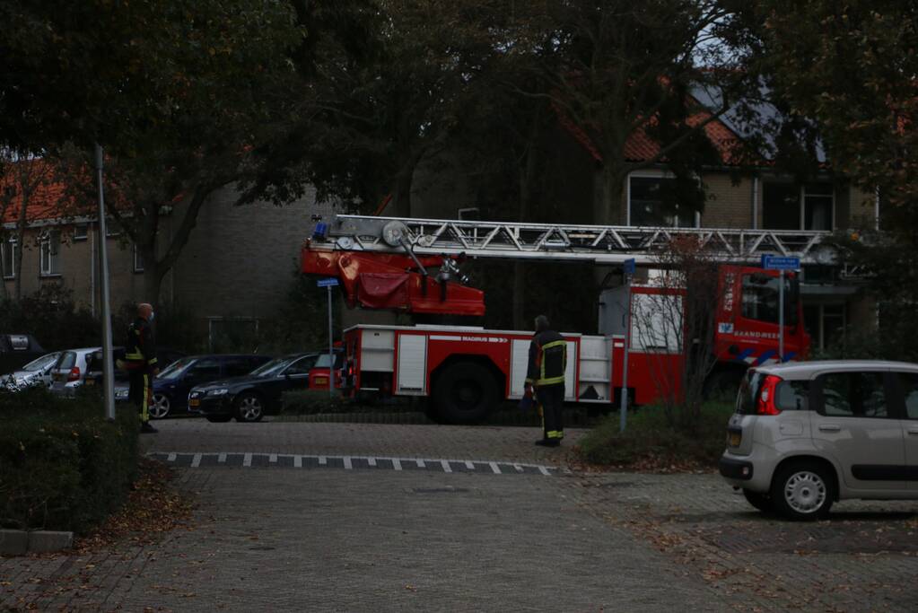 Brandweer redt kat van dak