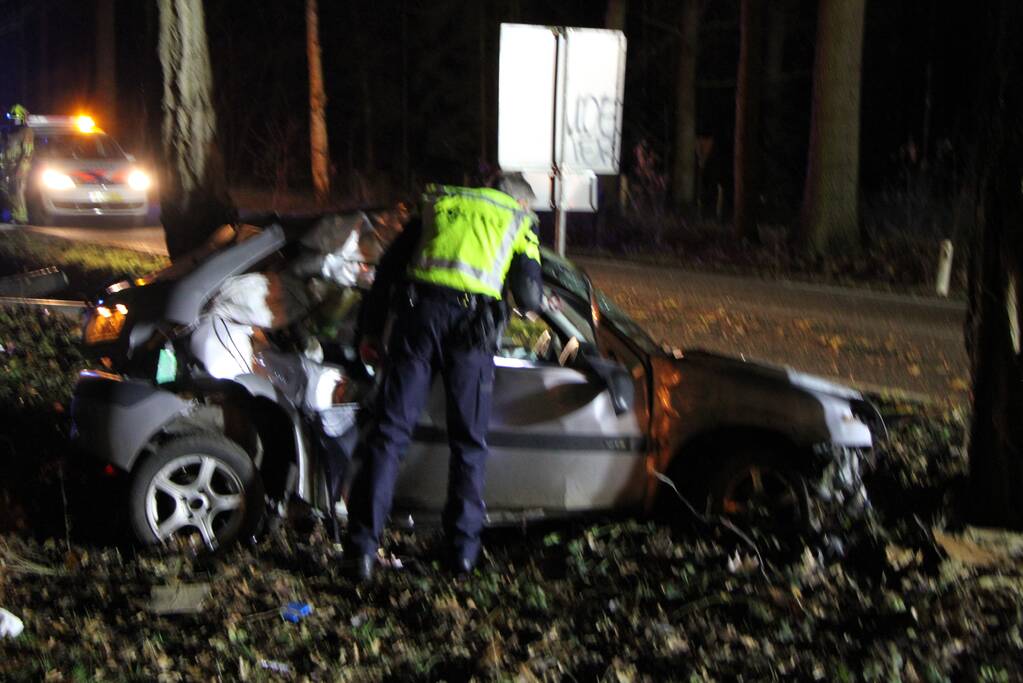 Auto knalt tegen lantaarnpaal en eindigt tegen een boom